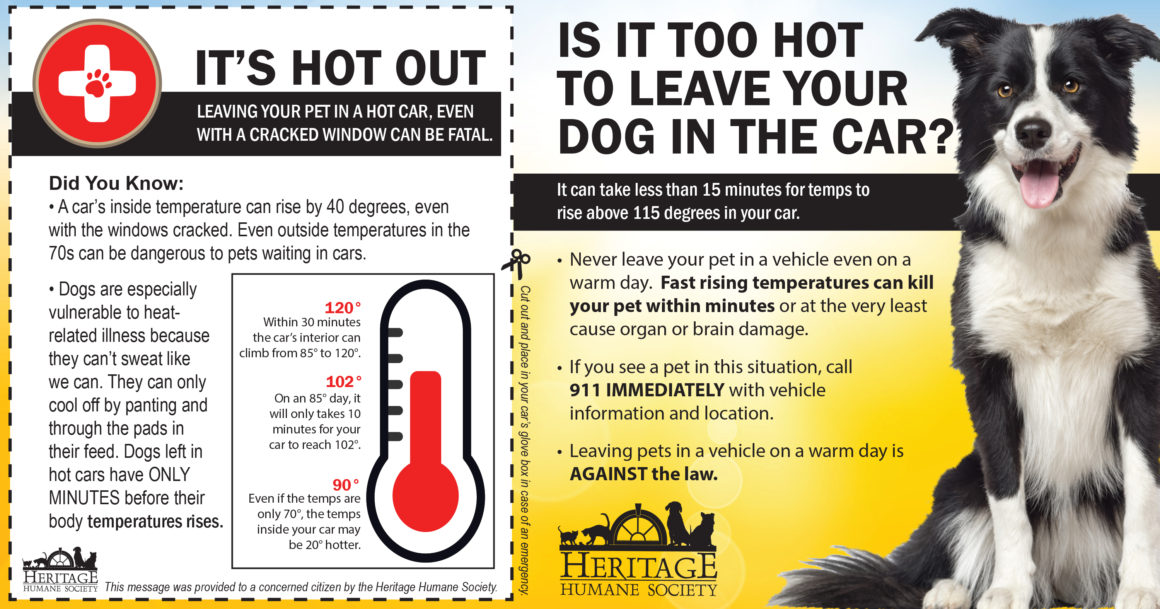 Pets and Hot Cars
