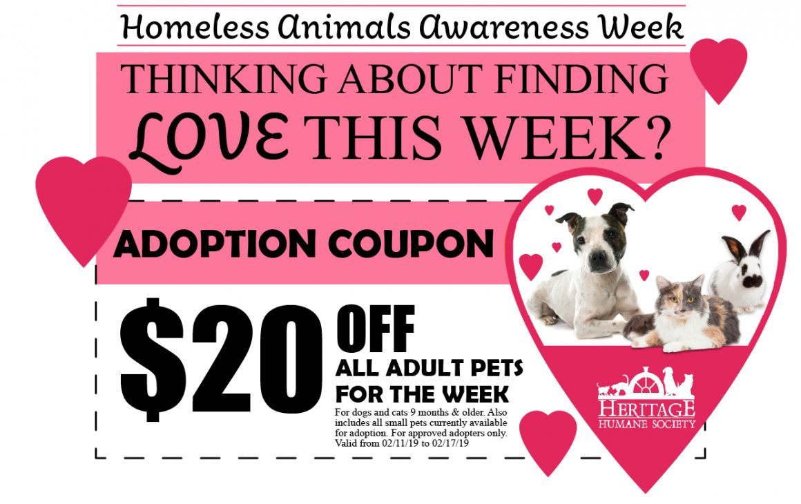 Homeless Animals Awareness Week Coupon