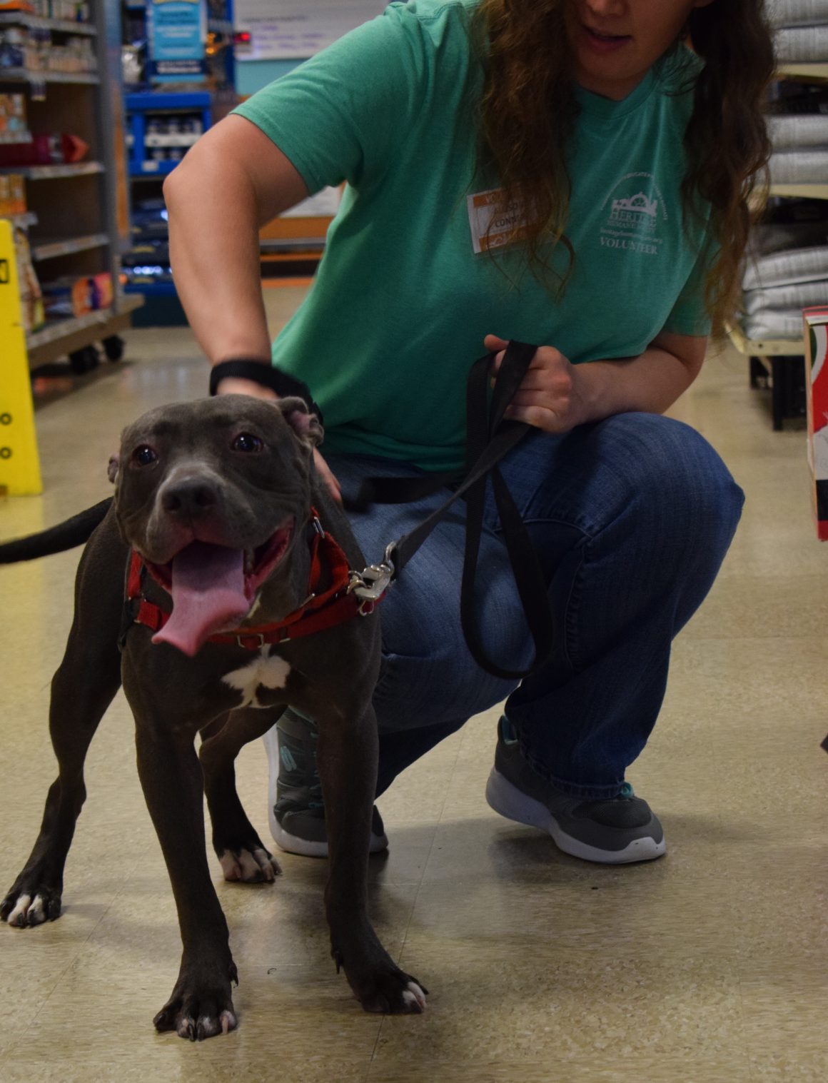 National PetSmart Adoption Weekend Heritage Humane