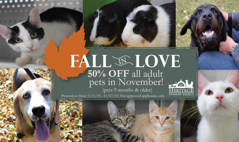 Fall in Love Adoption Coupon