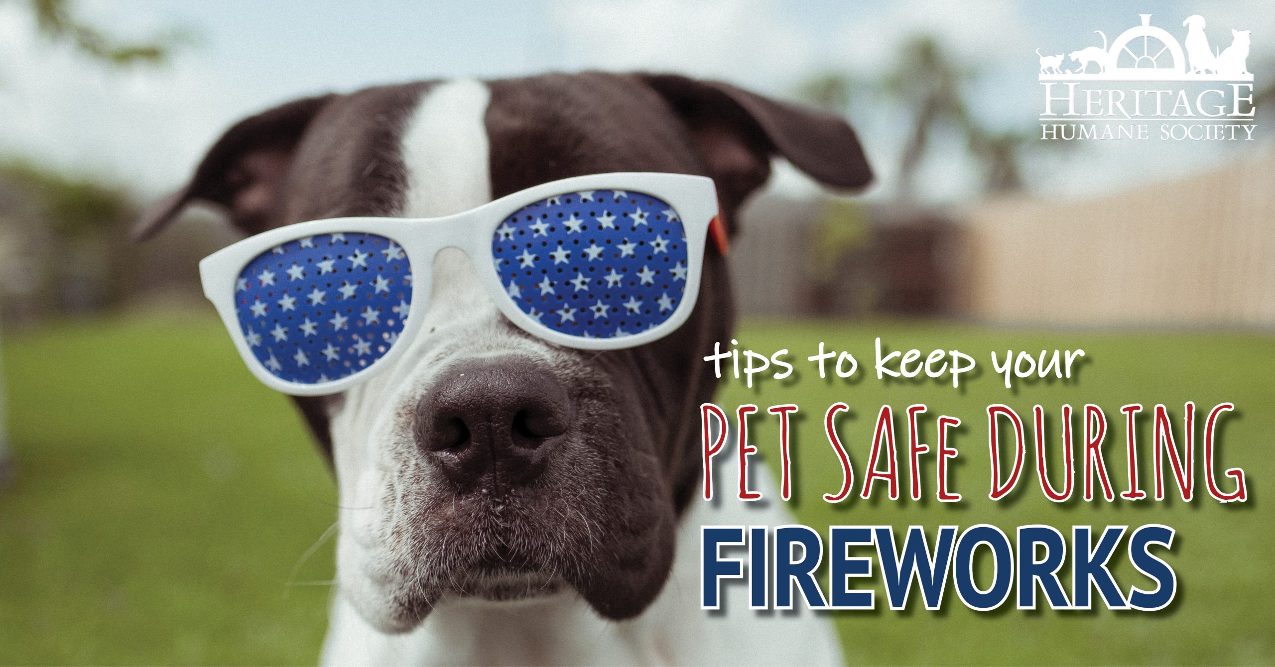 4th of July Fireworks and Pet Safety - Heritage Humane