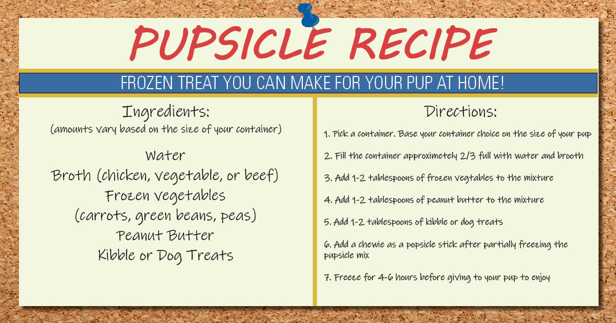 2-ingredient Pupsicles (3 ways) - Baking Mischief