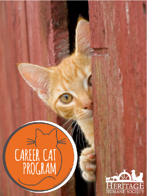 Learn More about our Career Cat Program! - Heritage Humane