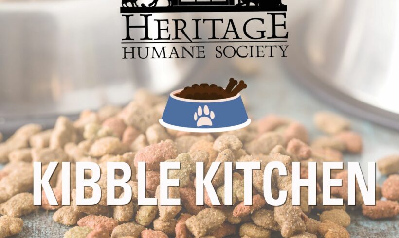 Furry Friends Feature – Kibble Kitchen & Beyond Keeps Furry Companions Together with Their Families