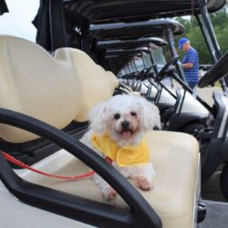 Fore! A Dogleg for Dog Legs – It’s time to Make Par for Pets