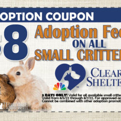 Promotion! All Small Critter Adoption Fees are $8!