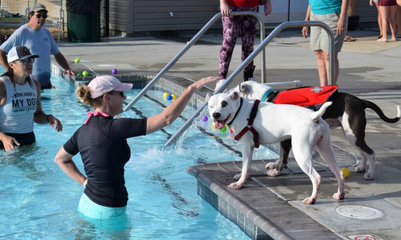 New Belly Flop Record Set by Heritage Humane Society