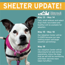 Shelter Updates & Roof Renovation Project