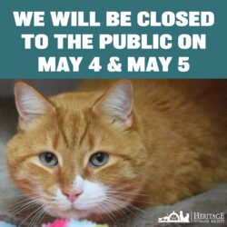 Our Adoption Center Will Be Closed on May 4 & May 5