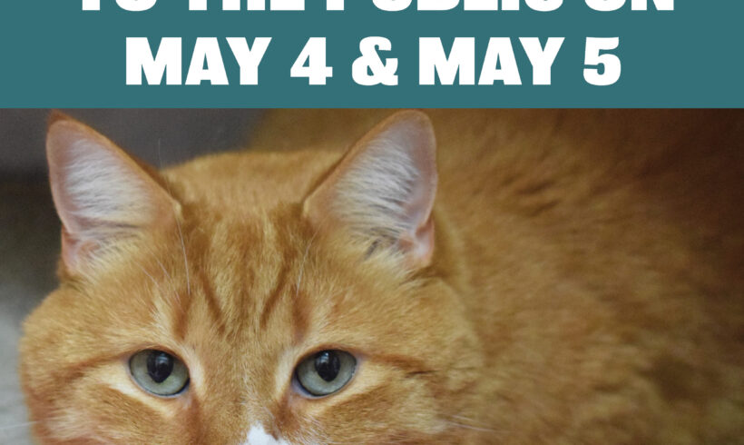Our Adoption Center Will Be Closed on May 4 & May 5