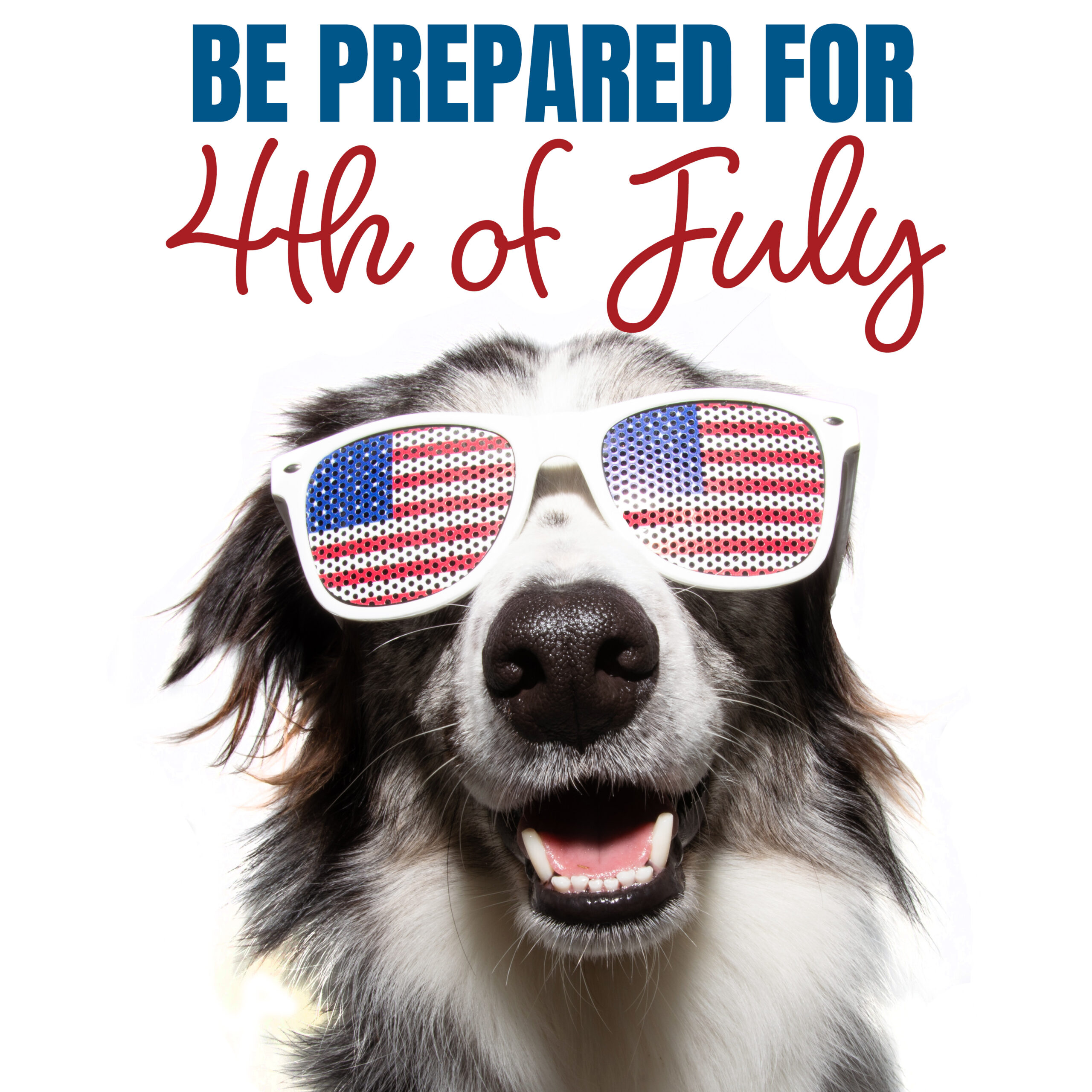 July 4th – How to Prevent the Day of the Missing Pets