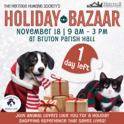 The 2023 Holiday Bazaar is Here!