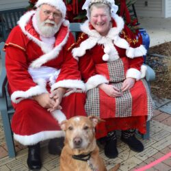 Santa and Mrs. Claus Spread Holiday Cheer to Area Homeless Pets