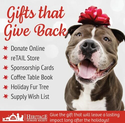 Paws and Presents: Unwrap Joy with Gifts That Give Back