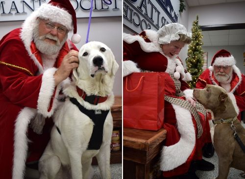 Santa and Mrs. Claus Spread Holiday Cheer to Area Homeless Pets
