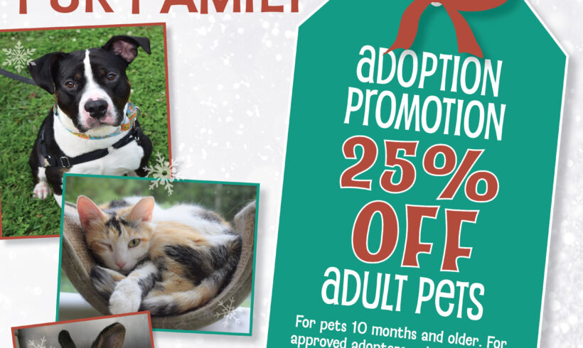 Holiday Adoption Promotion