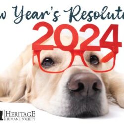 Make Your New Year’s Resolutions Pawsitively Rewarding