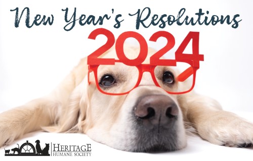 Make Your New Year’s Resolutions Pawsitively Rewarding