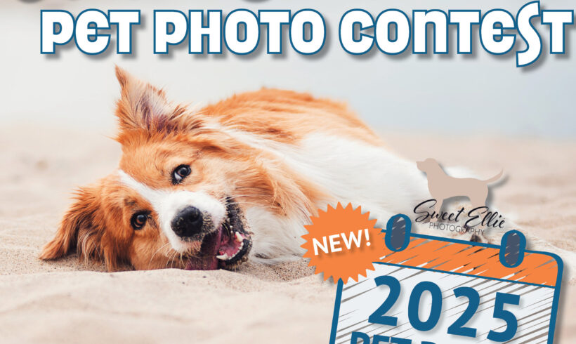 Paws and Pose — Local Pet Photo Contest to Capture Hearts