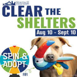 August is National Clear the Shelters Month