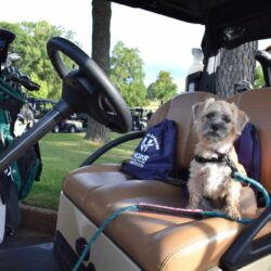 2024 Make Par for Pets Golf Classic Photo Album