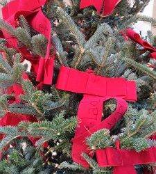 Join in Trimming the Community’s Holiday FUR Trees