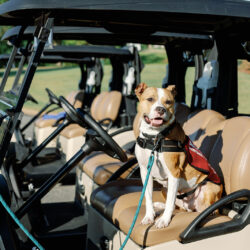 2025 Make Par for Pets Golf Classic Photo Album