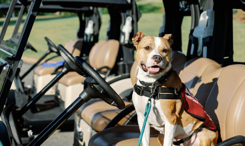 2025 Make Par for Pets Golf Classic Photo Album