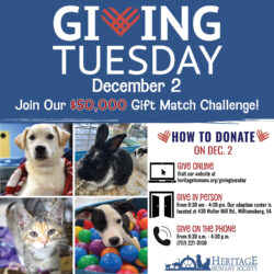 It’s Giving Tuesday 2025 — And, There’s a $50,000 Matching Gift!