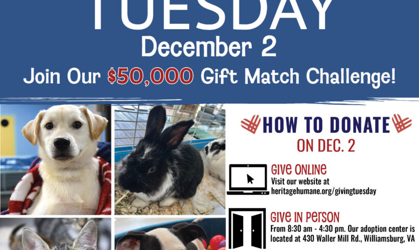 It’s Giving Tuesday 2025 — And, There’s a $50,000 Matching Gift!