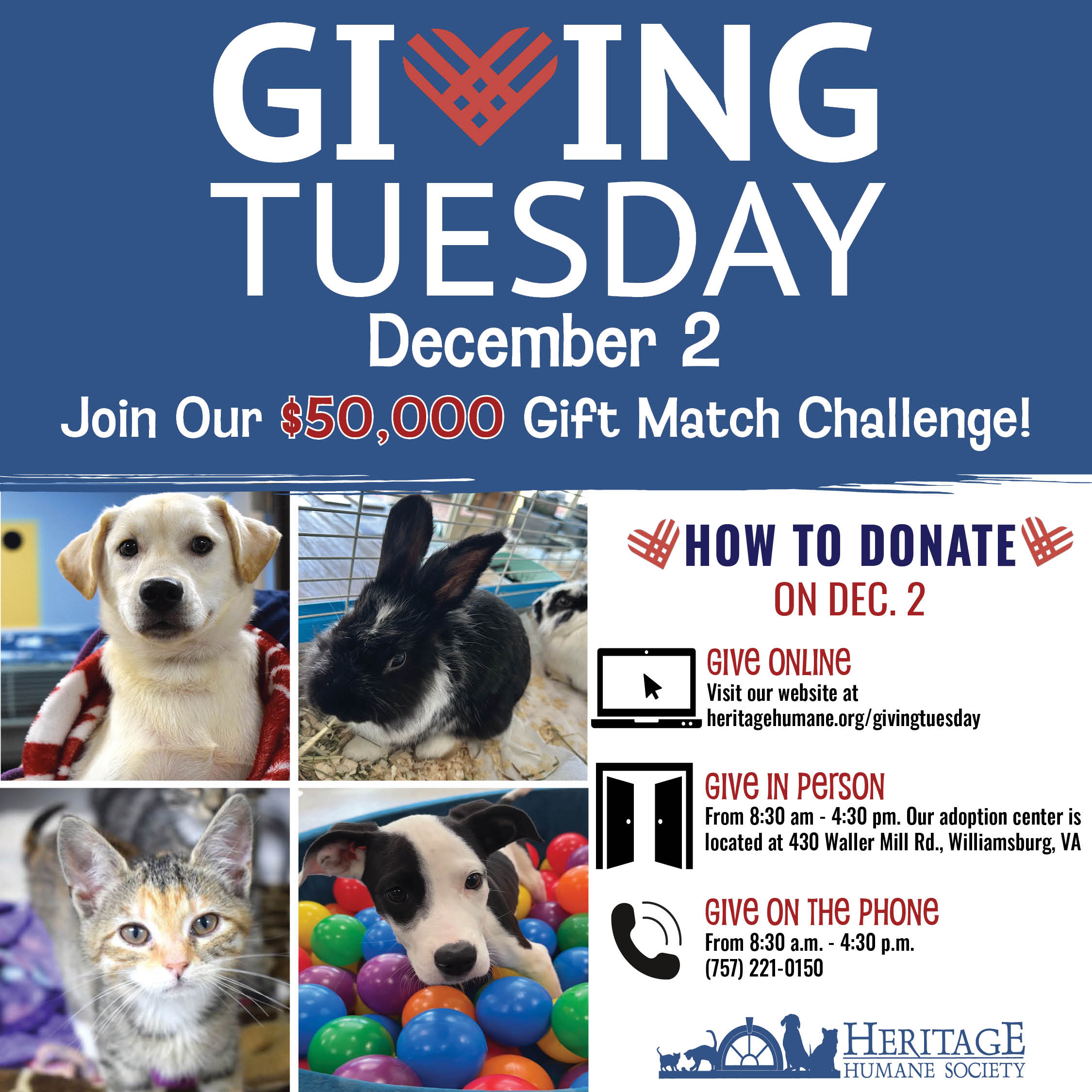 Giving Tuesday Instagram