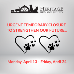 Urgent Temporary Closure
